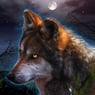 wolf007