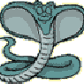 Cobra01