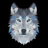 FrauWolfpack