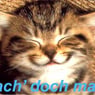 jannilein