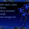 elke60