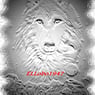 ELLobo1947
