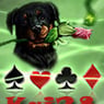 kai38