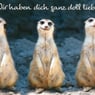 schlumpf999
