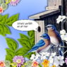 blumenfee52