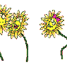 Flower3