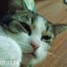 Espi
