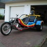 bernybaer