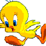 Toddy5