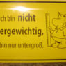 Elbenweib