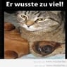 werauchimmer
