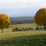 nanunanu