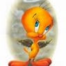 tweety3366