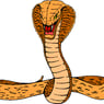 snake123