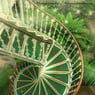Phantasya