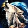 einsamerwolf