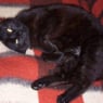 Mrsanna1997