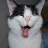 Mien
