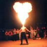 bolle49