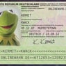 Kermit67