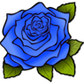 BlueRosa