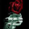 rosesofdeath
