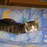 andywandy12