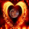 mietze2