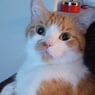 Sandra2207