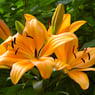birgit210673