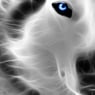 wolfspac