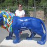 Wuestenblume52