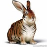 killerhase19