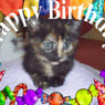 monsterb1977