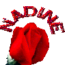 Naddl1986