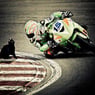 Ninja91