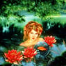 wasserfee12