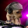 DJDMX