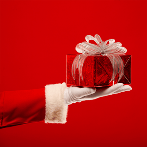 Geben Sie ein besonderes Weihnachtsgeschenk: VIP-Mitgliedschaft für einen Freund! 🎁 image