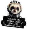 FrecherDachs