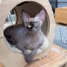Marcy82