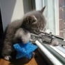 sweetyyy