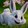 hasi5768