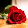 kissforyou
