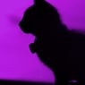 PurpleLadyNrw