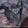 gothicmaus15
