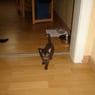 jutta1111