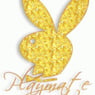bunny1995