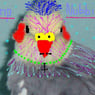 Sillywilly
