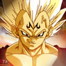 Vegeta2012